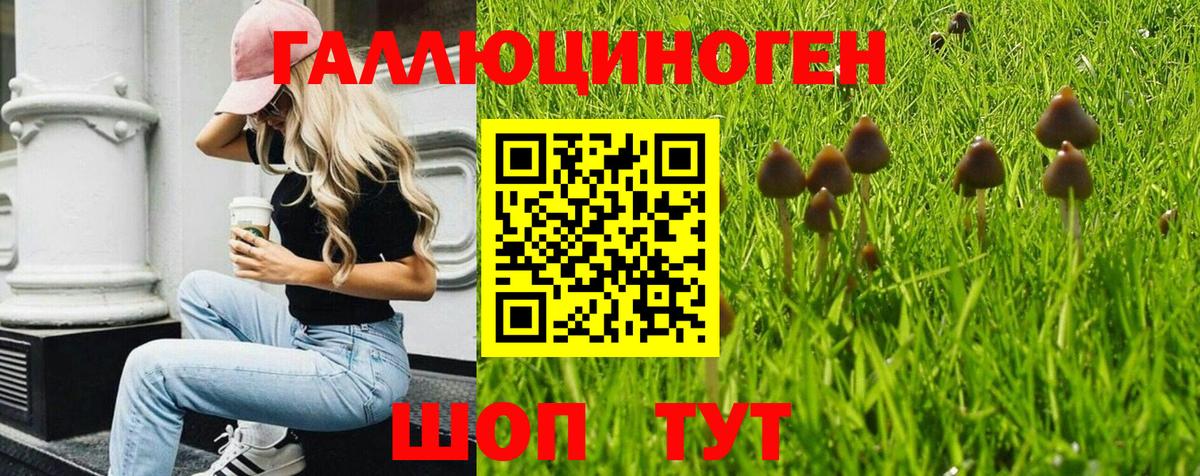 Псилоцибиновые грибы ЛСД  Галлюциногенные грибы Psilocybine cubensis  Вход с VPN  Саяногорск 