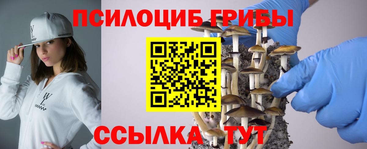 Галлюциногенные грибы GOLDEN TEACHER Саяногорск